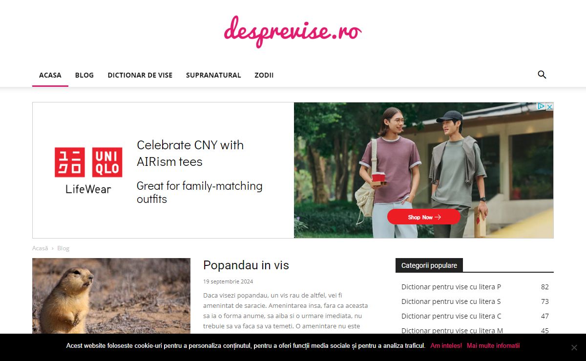 Interpretare vise, semnificatia viselor si dictionar de vise