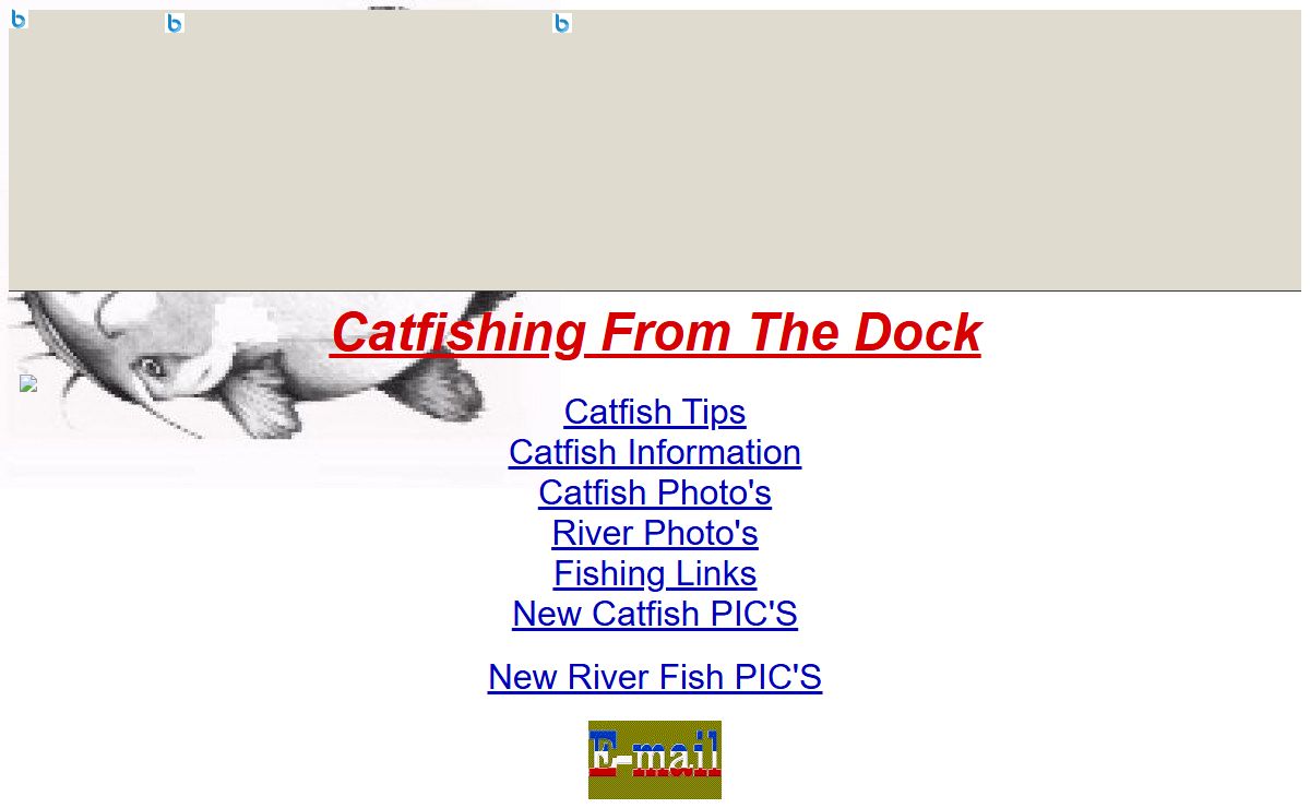 Catfishing From The Dock