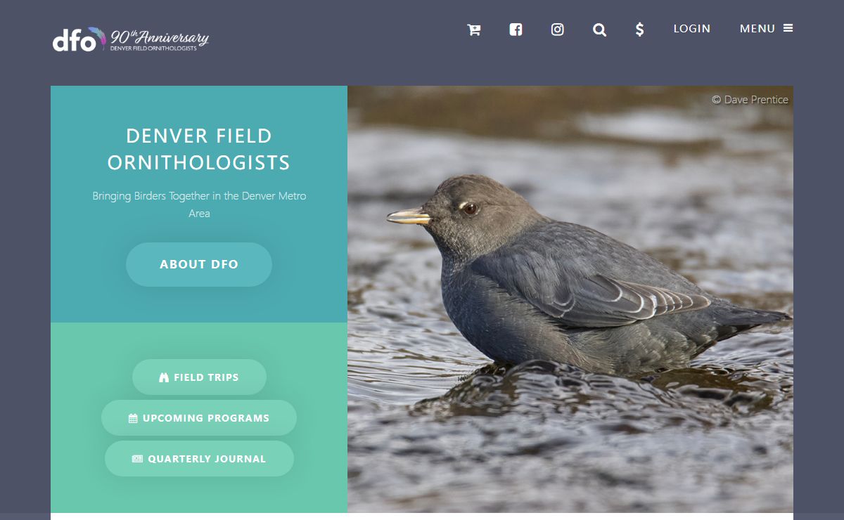 Denver Field Ornithologists