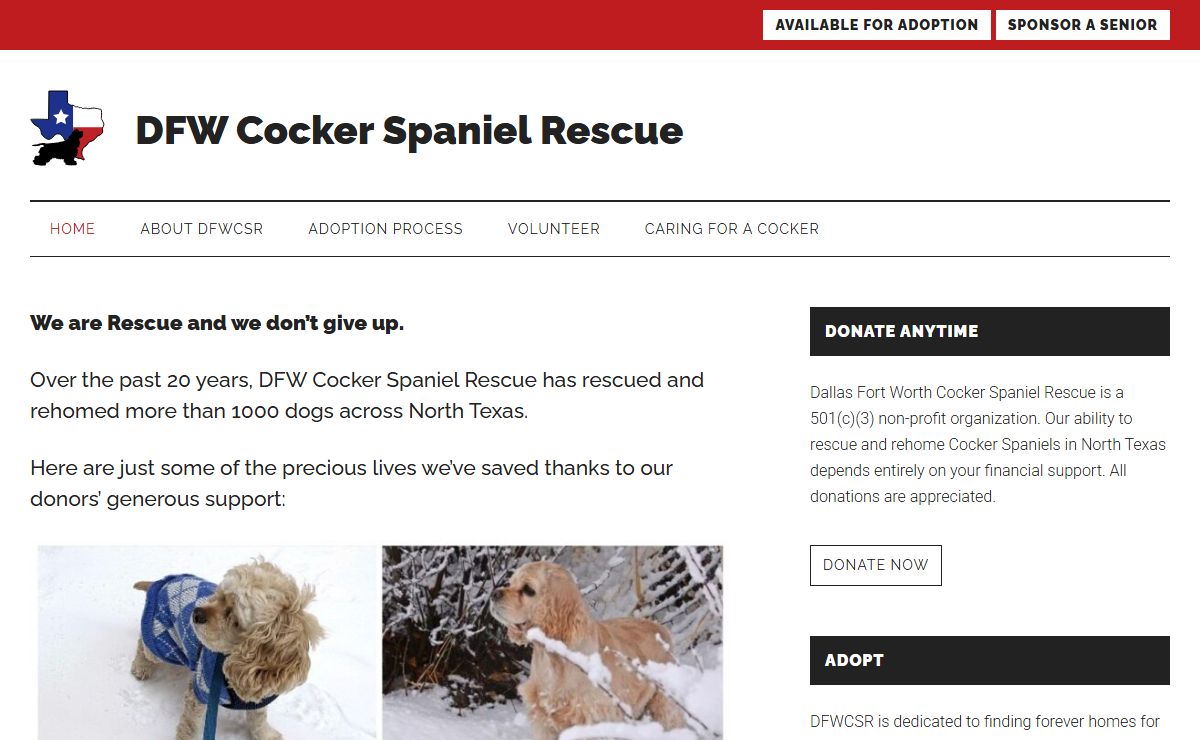 DFW Cocker Spaniel Rescue - Cocker Spaniel Rescue in Dallas-Fort Worth