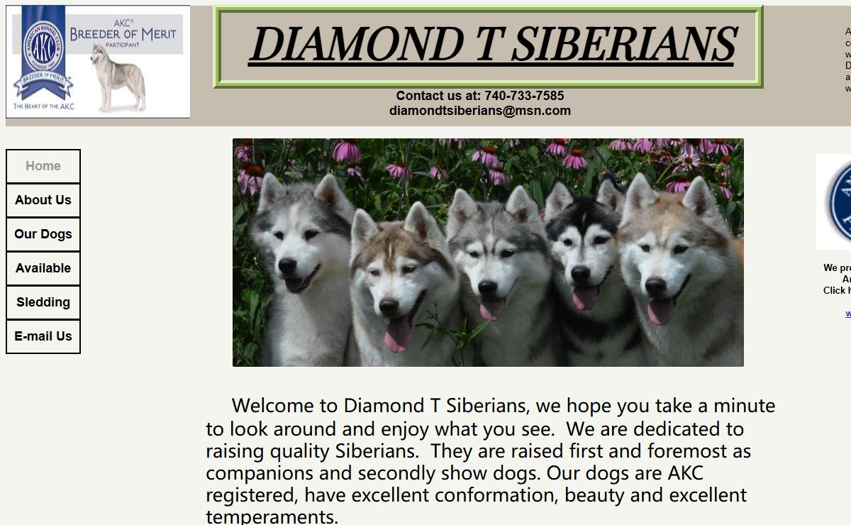 Diamond T Siberians