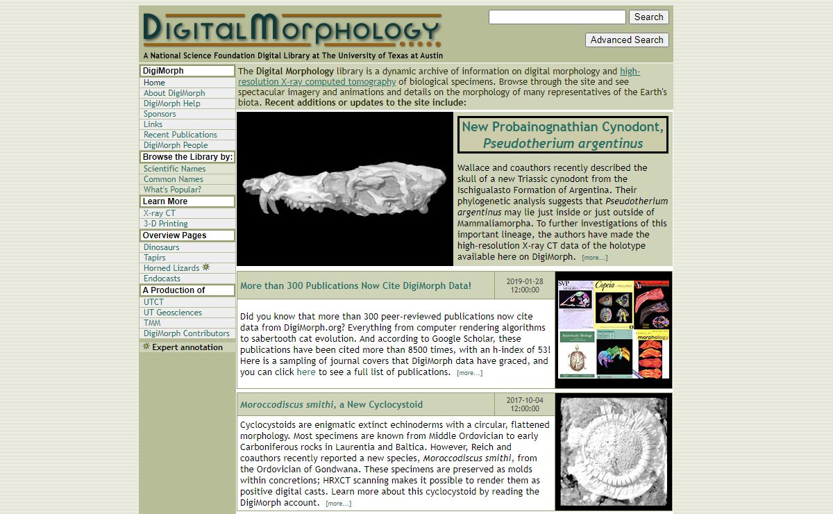 Digital Morphology at the University of Texas