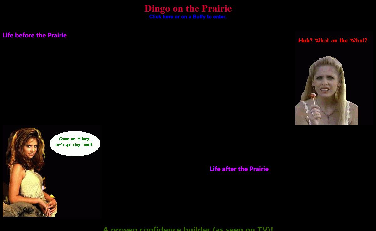 Dingo on the Prairie
