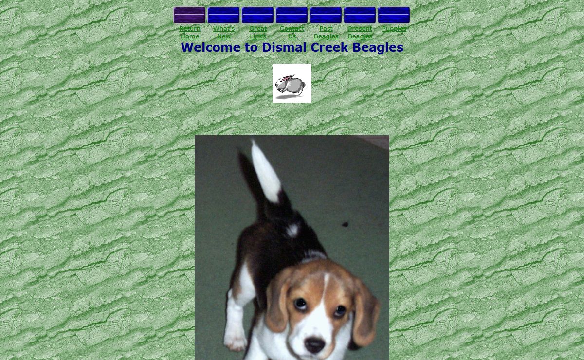 Home of Dismal Creek Beagles. A top breeder of quality show beagles.