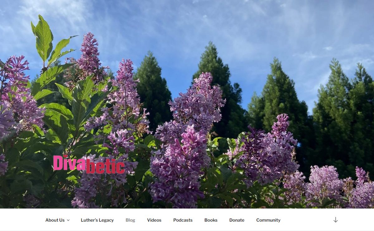 Divabetic – Wellness with a Wow