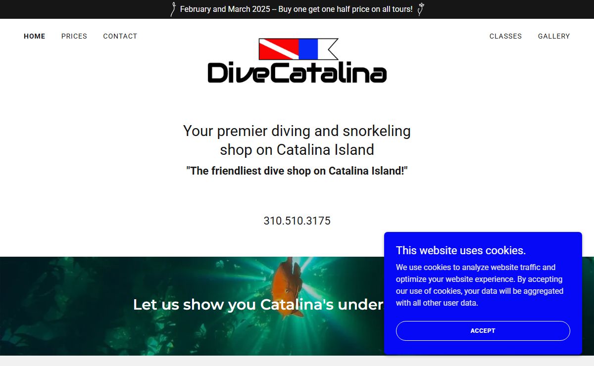 Dive Catalina