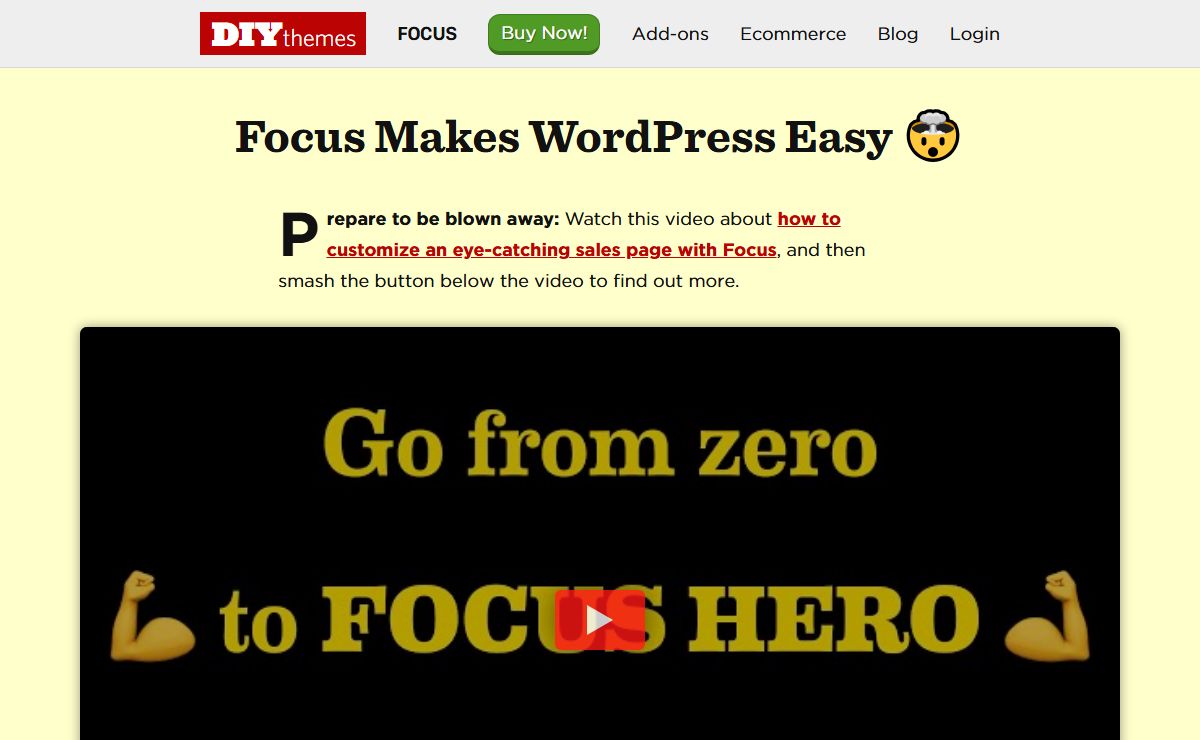 DIYthemes — Build a FAST website YOU can manage with the Focus WordPress Theme