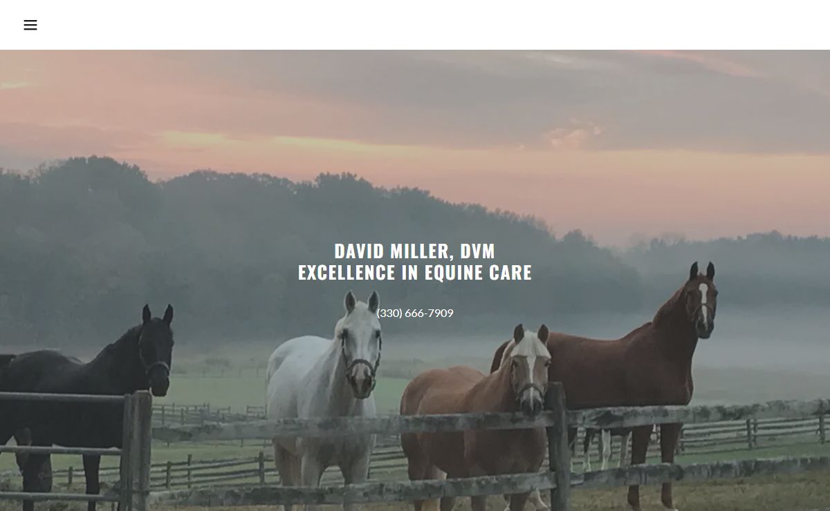 Equine Veterinarian - D Miller, DVM, LTD