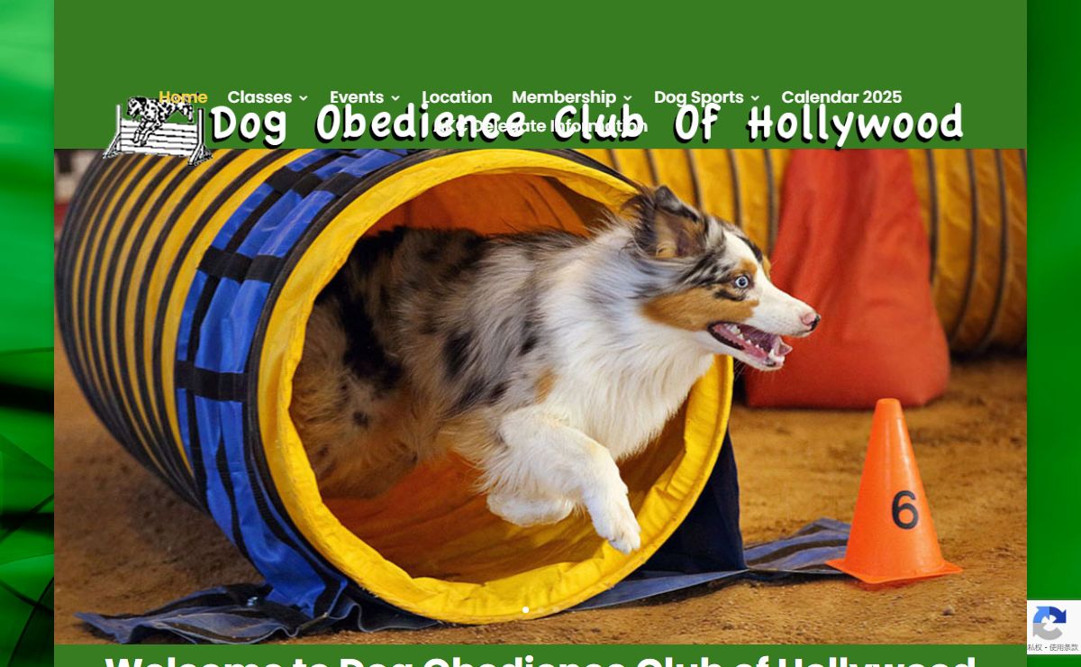 Dog Obedience Club of Hollywood |