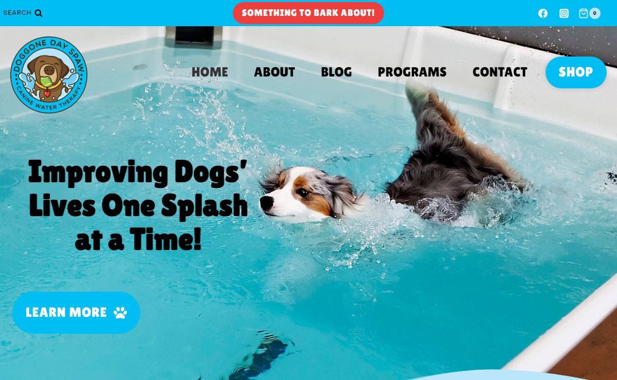 Doggone Day Spaw – Canine Water Therapy