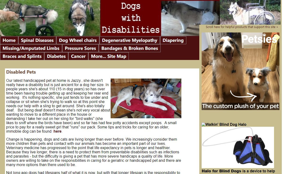 Dogs with Disabilities, disabled or handicapped pets with limited mobility.
