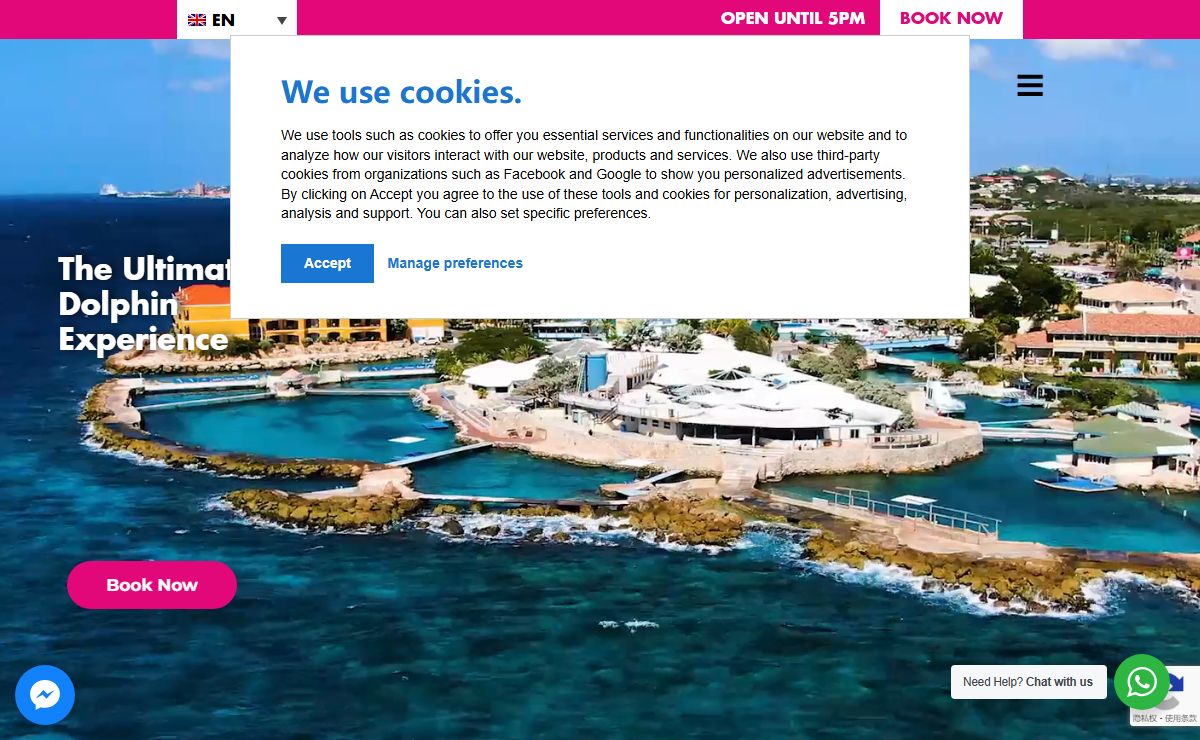 The Ultimate Dolphin Experience | Dolphin Academy Curaçao