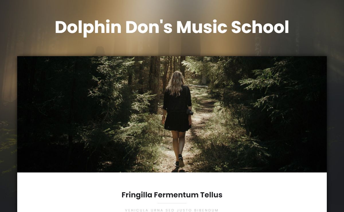 Dolphin Don's Music School