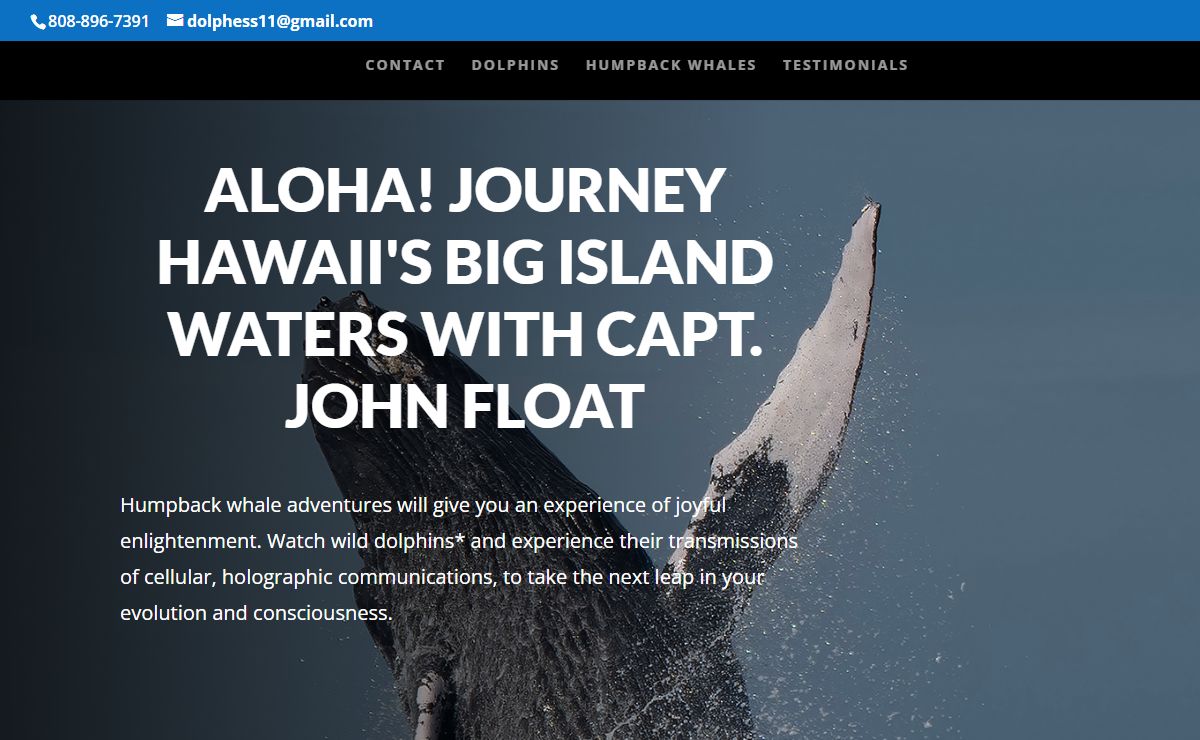 Dolphin Essence | Dolphin Swims on Big Island, Hawaii