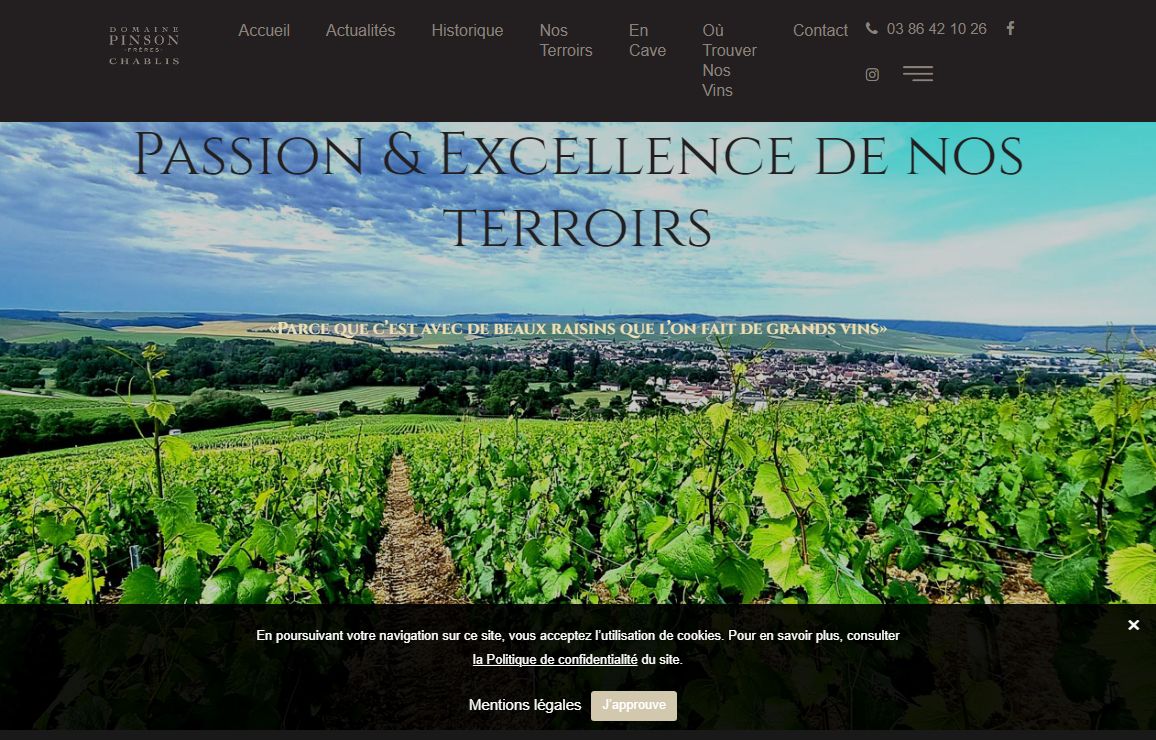 Les vins de Chablis du Domaine Pinson (89)