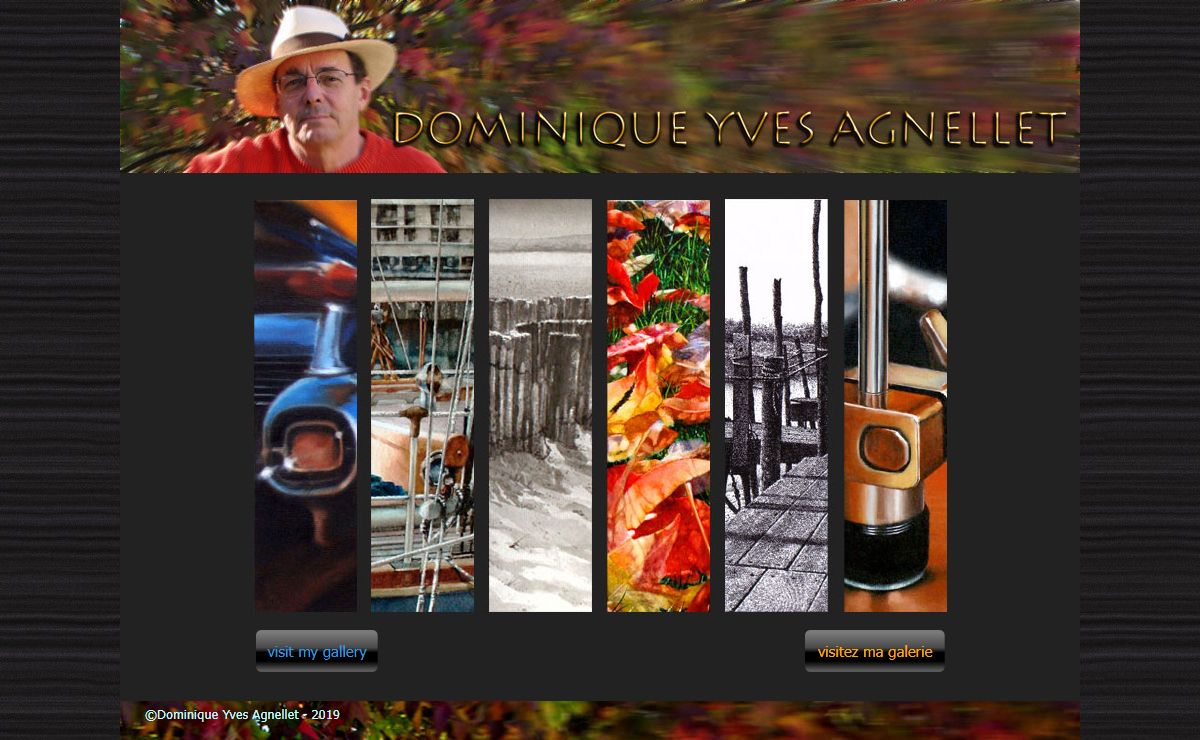 Dominique Yves Agnellet