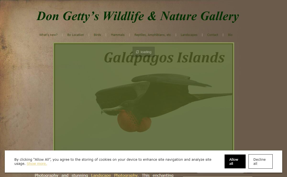 Wildlife Photography | Don Getty Wildlife Photography