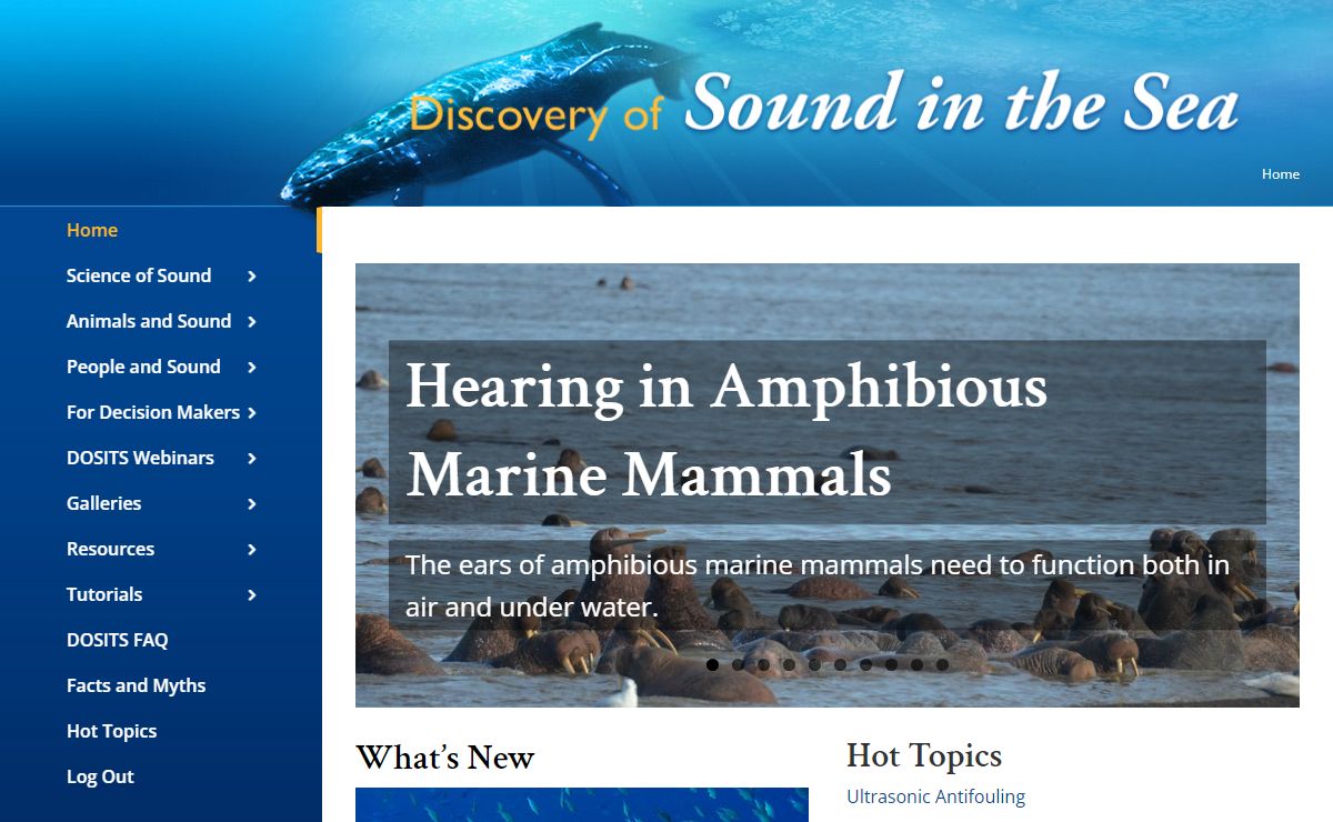 Discovery of Sound in the Sea