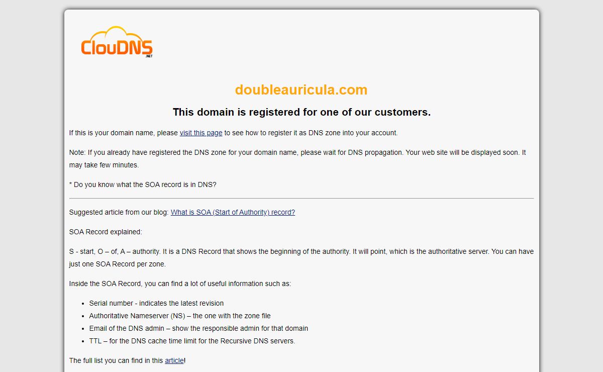 doubleauricula.com | SOA record