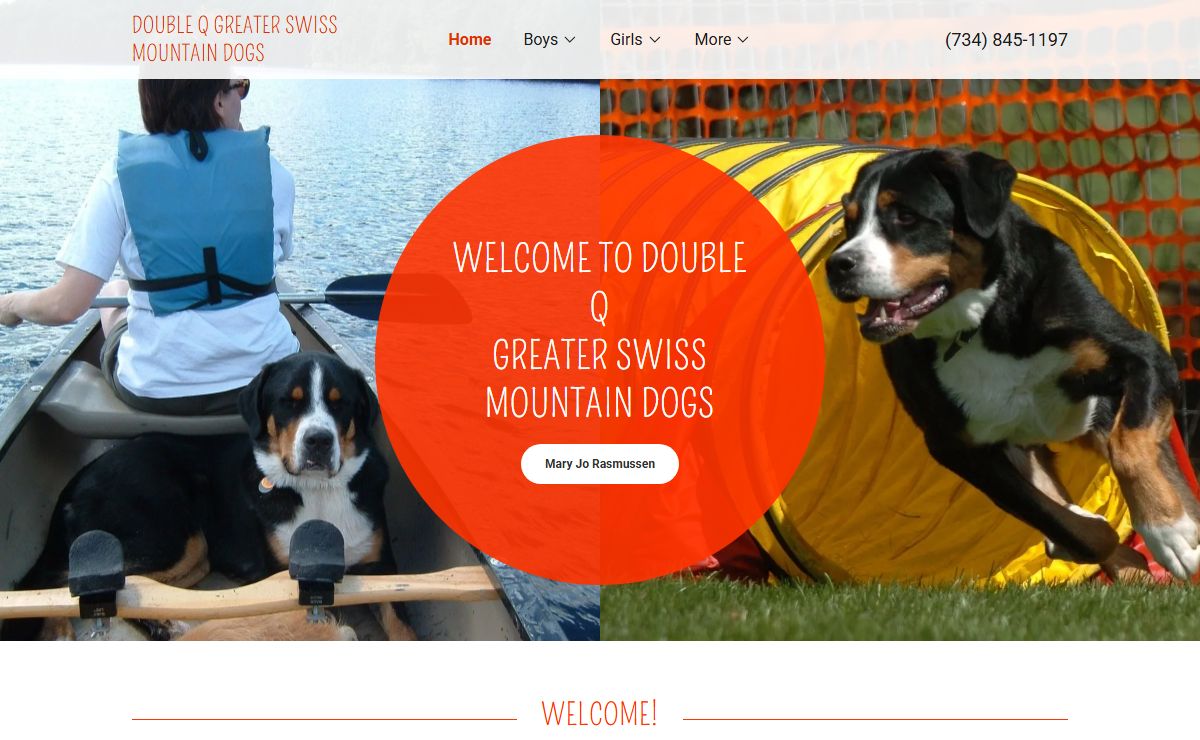 Greater Swiss Mountain Dogs - Double Q Greater Swiss Mountain Dogs