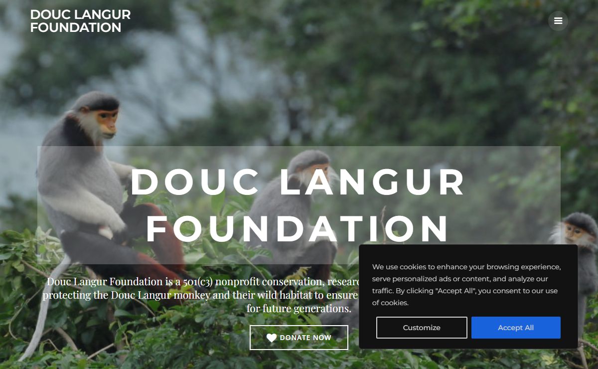 Douc Langur Foundation – Protecting the Douc Langur