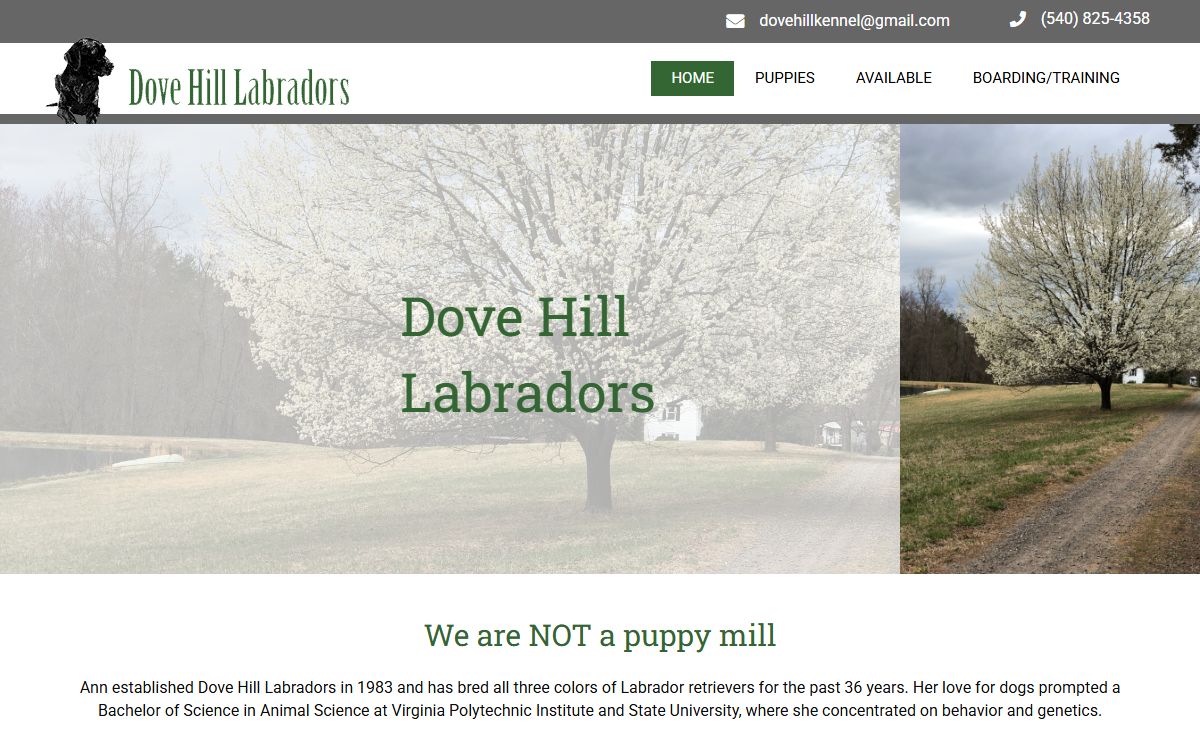 Home, Culpeper, VA | Dove Hill Labradors