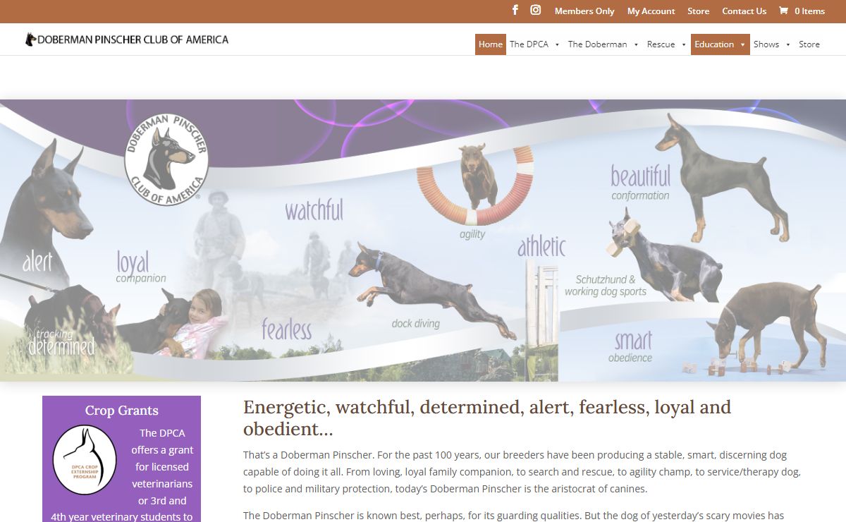 Doberman Pinscher Club of America | Home