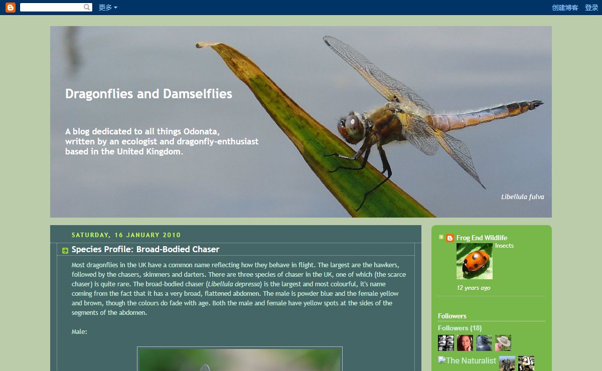 Dragonflies and Damselflies