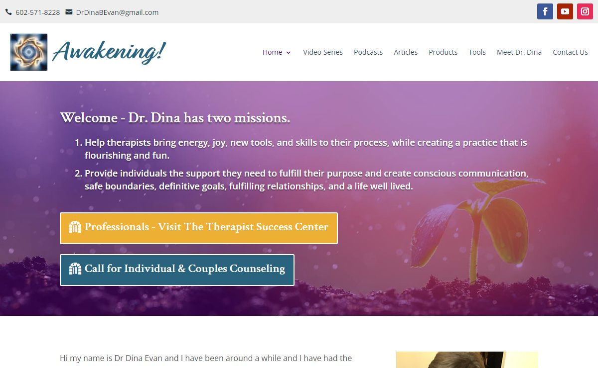 Therapist Success Center and Conscious Counseling Appointments with Dr. Dina Evan • Dr. Dina Evan