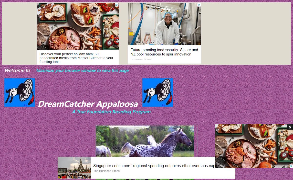 Dreamcatcher Appaloosa.index/html