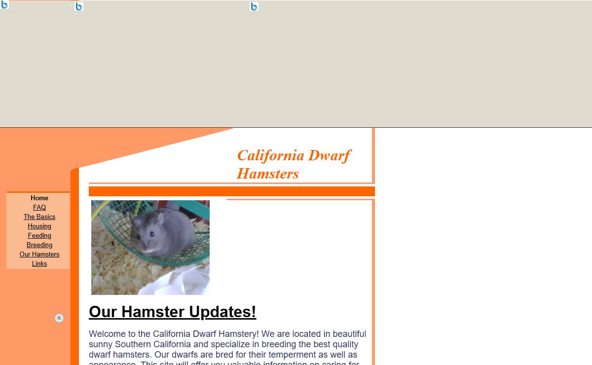 California Dwarf Hamsters