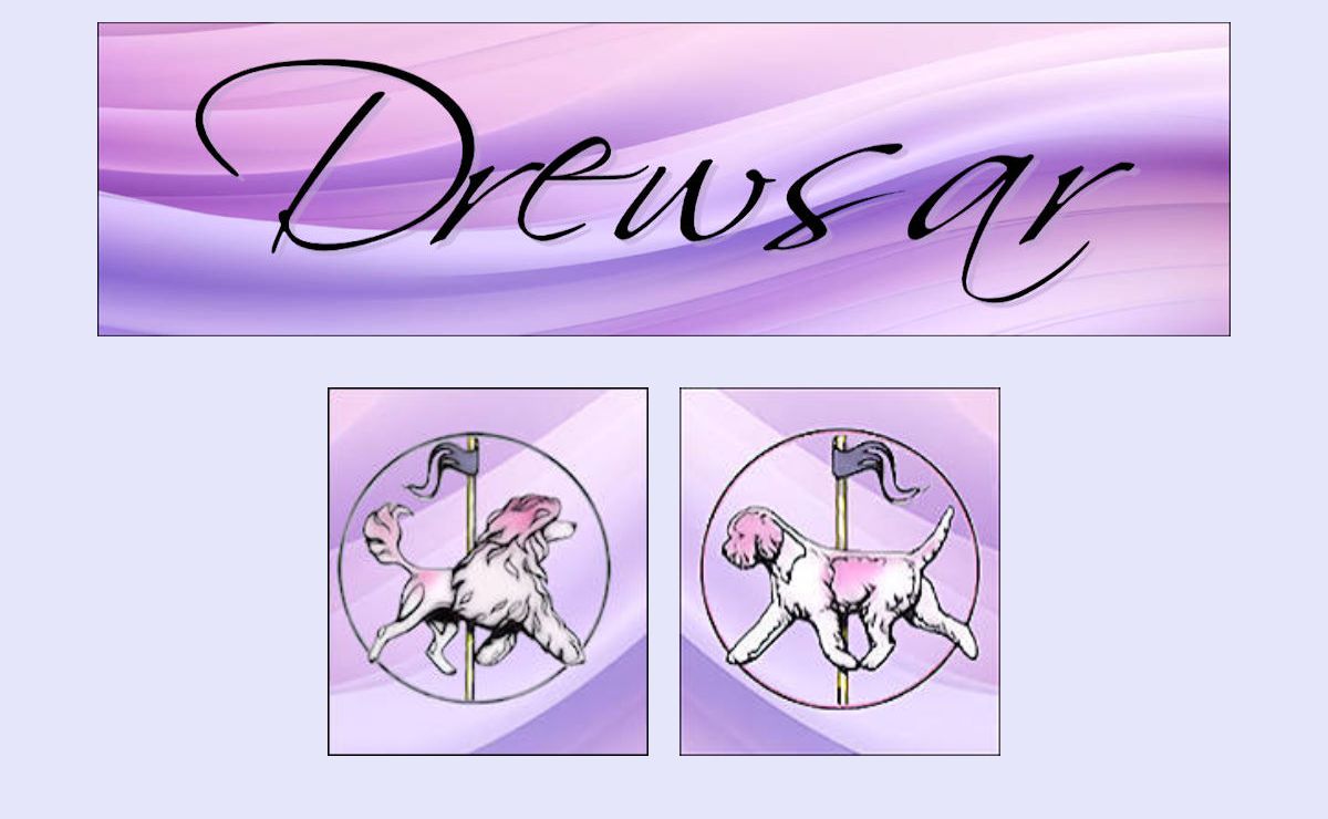 Drewsar Portuguese Water Dogs and Lagotto puppies in Ontario