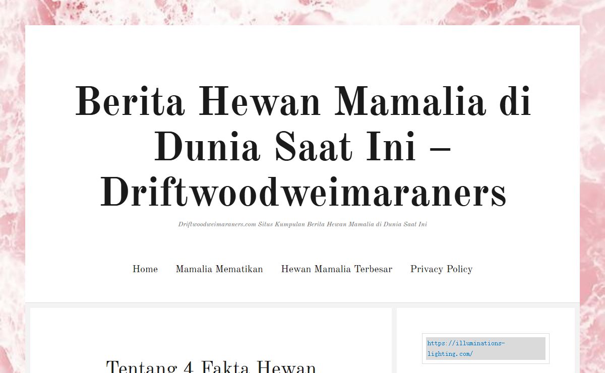 Berita Hewan Mamalia di Dunia Saat Ini - Driftwoodweimaraners