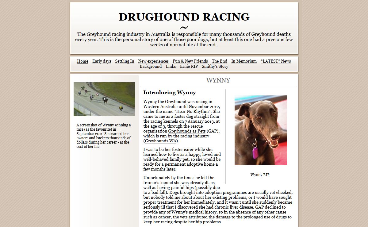 Wynny | DRUGHOUND Racing