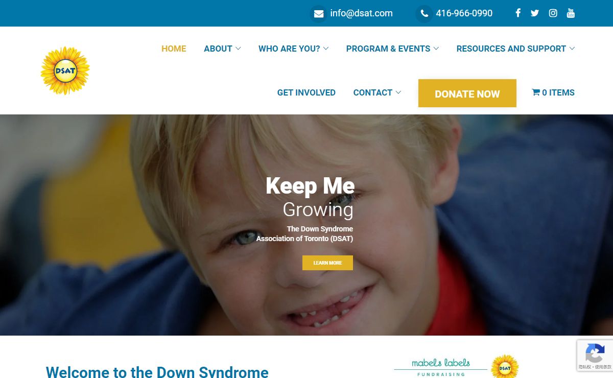 Down Syndrome Association of Toronto, DSAT Non-Profit Charity