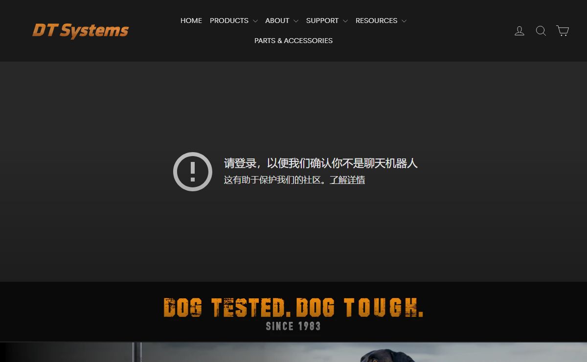 DT SYSTEMS – DT Systems