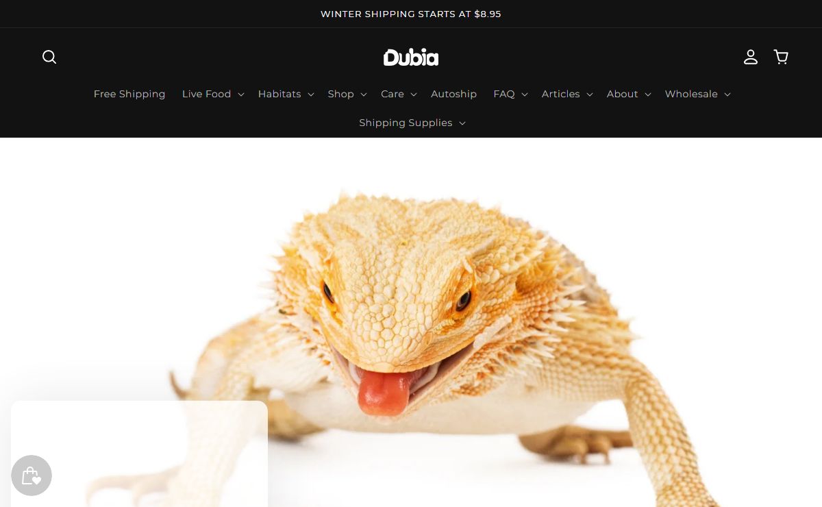 The #1 Source for Live Pet Food | Dubia.com