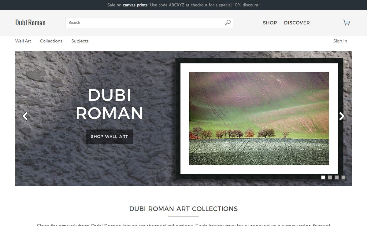 Dubi Roman - Official Website