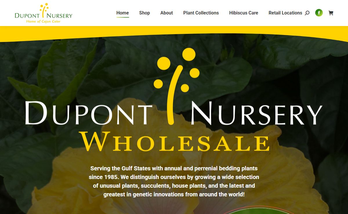 Home - Dupont Nursery