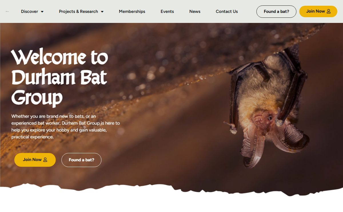 Durham Bat Group
