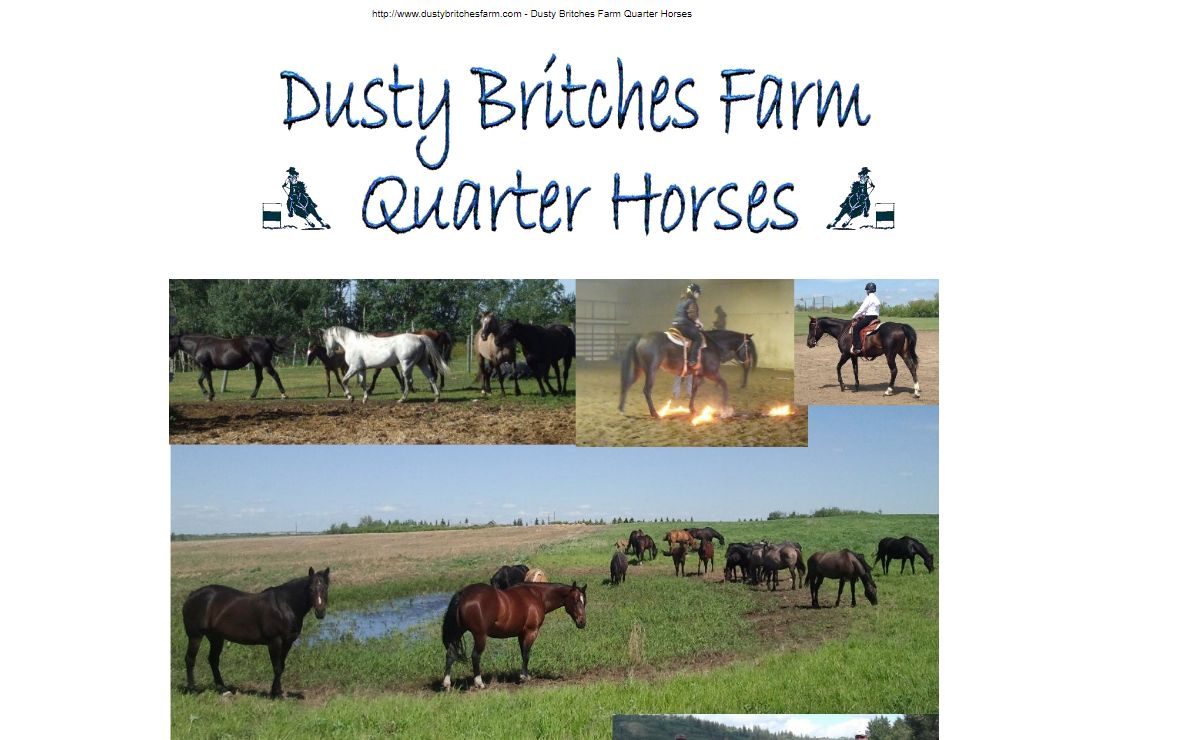 Dusty Britches Farm - Quarter Horses for Sale in Alberta.