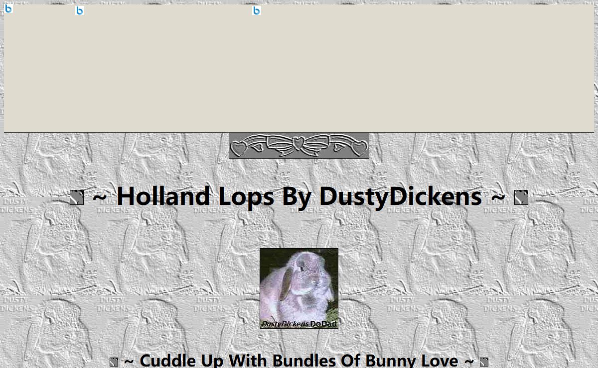 Holland Lop Rabbits By DustyDickens