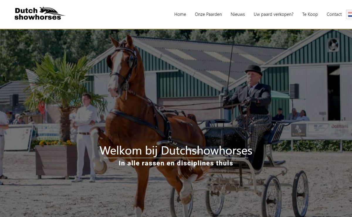 Welkom bij Dutchshowhorses | Robbie en Chantal van Dijk