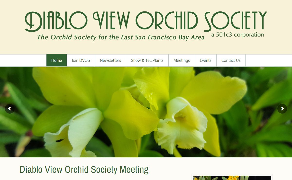 Diablo View Orchid Society – The Orchid Society for the East San Francisco Bay Area