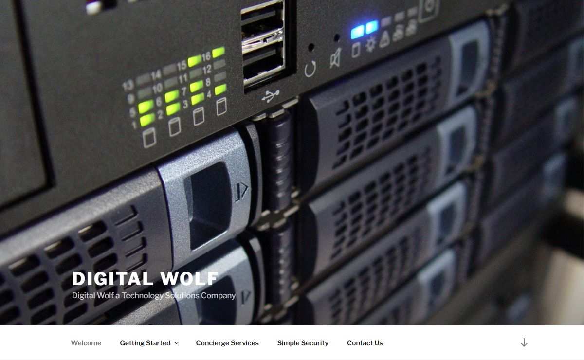 Digital Wolf – Digital Wolf a Technology Solutions Company