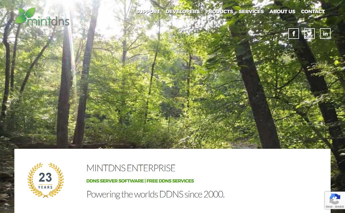 Run your own Dynamic DNS (DDNS) server with MintDNS