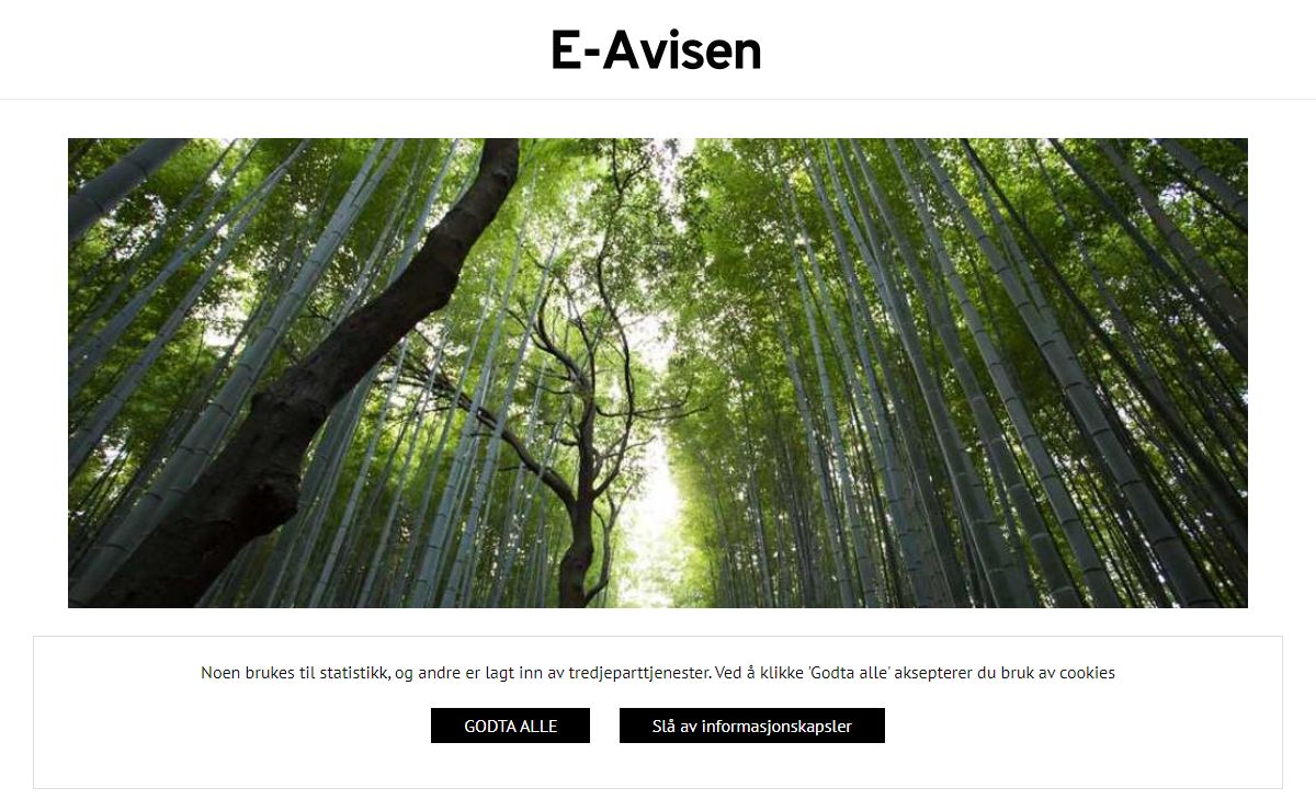 E Avisen
