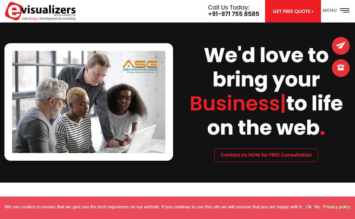 Website Design Agency, Web Development Company India - Evisualizers Infotech