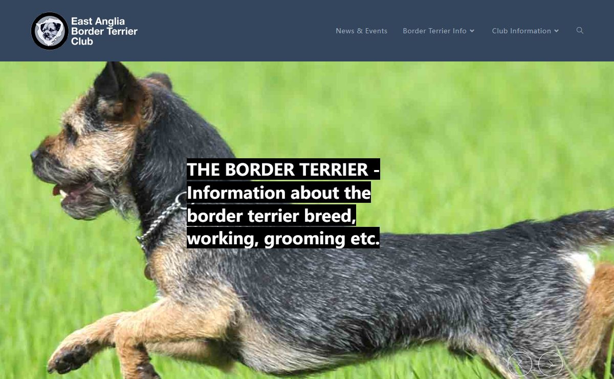 East Anglia Border Terrier Club