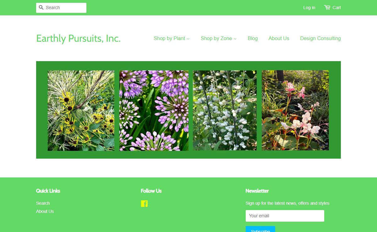 Earthly Pursuits Ornamental Grasses, Bamboo, Ferns, and Perennials – Earthly Pursuits, Inc.